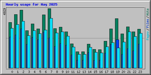 Hourly usage for May 2025