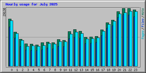 Hourly usage for July 2025