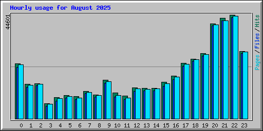Hourly usage for August 2025