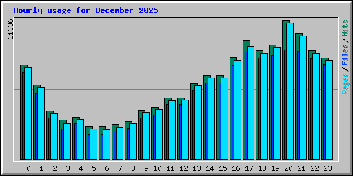 Hourly usage for December 2025