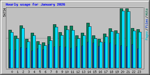 Hourly usage for January 2026